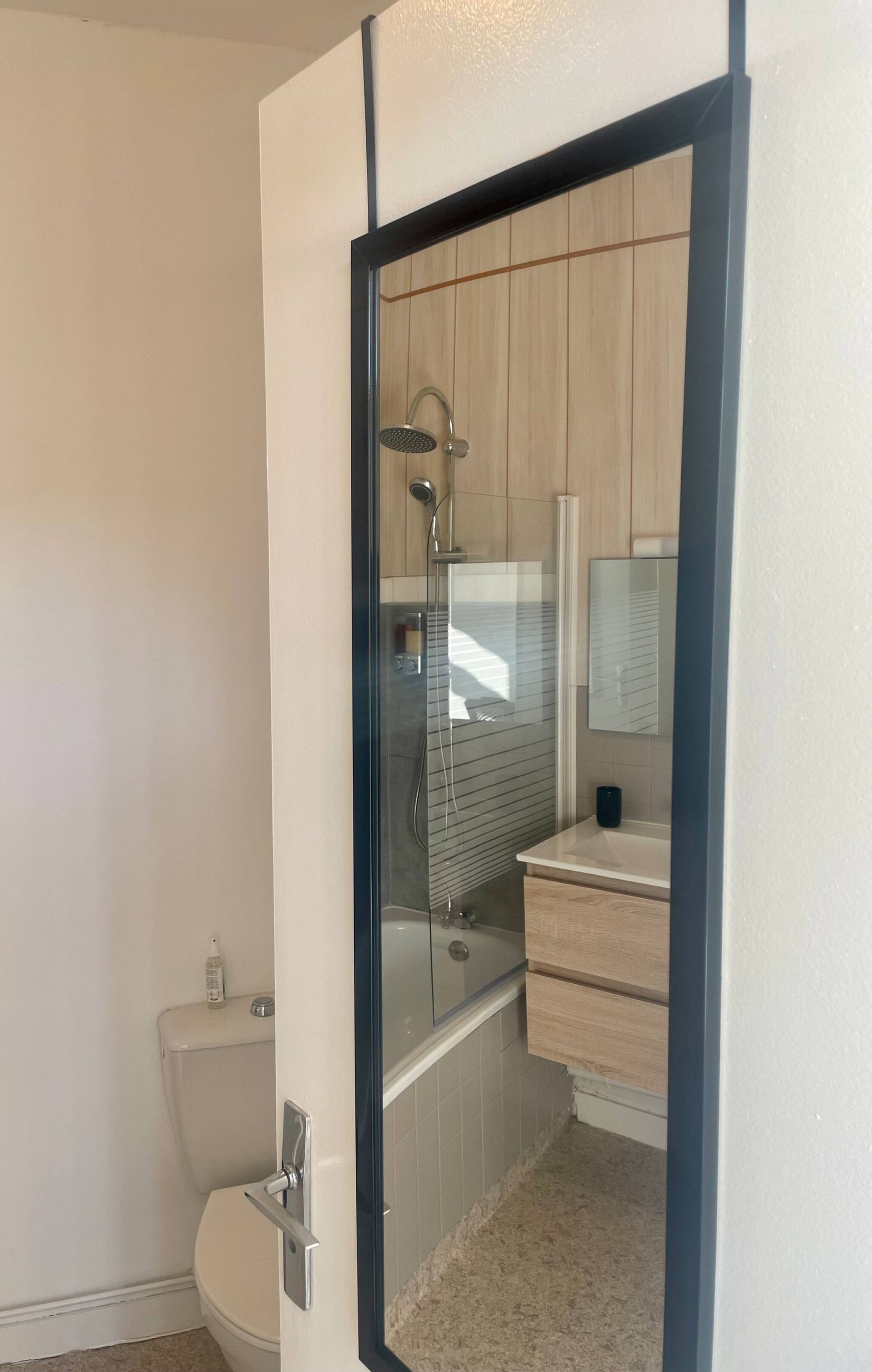 Une salle de bain équipée de toilettes, d’une douche et d’un lavabo avec un miroir.