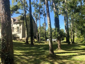 Une cour bordée de grands arbres et un bâtiment à la façade en pierre.
