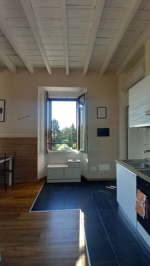 A room with a kitchen, a dining area, and a window with a view.
