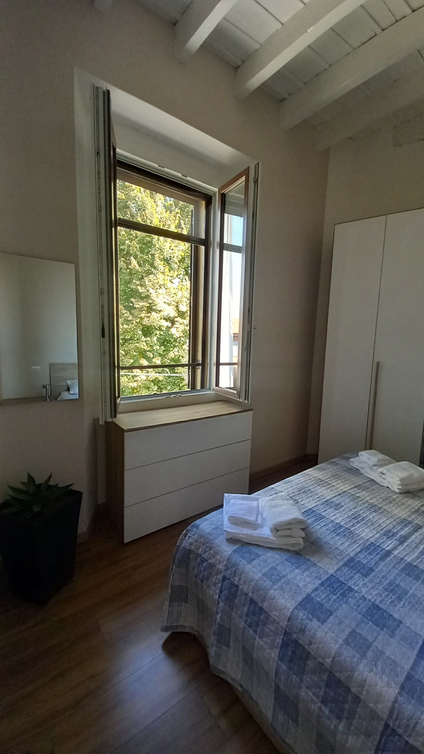 Una camera da letto con un letto, una finestra, un armadio e una pianta in vaso.