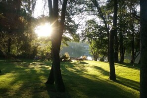 A grassy outdoor area with trees, a hammock, and a bench. - Holiday home with 3 bedrooms (Ganderkesee)