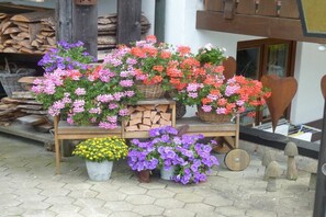 A display of potted flowers in front of a building with stacked firewood and a wooden bench. - Holiday apartment with 2 bedrooms (Obermaiselstein)