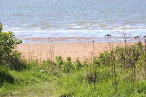 A beach with sand and water, surrounded by greenery. - Top Wadden Sea holiday home (Esbjerg)