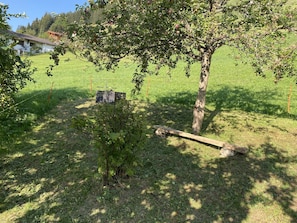 A tree with fruit, a wooden bench, and a small structure in a grassy field. - Chalet Legi Ferienhaus, Dusche oder Bad, WC, 4 oder mehr Schlafräume Chalet Legi by Interhome (Adelboden)
