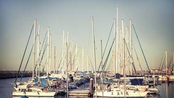 Un port de plaisance où sont amarrés de nombreux voiliers, une jetée en arrière-plan et une eau calme.