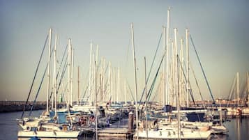 Un puerto deportivo con varios veleros amarrados al muelle.