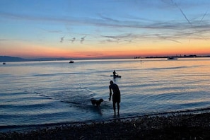 A person standing on a beach at sunset with a dog, boats in the distance, and a calm sea. - Holiday apartment with 1 bedroom (Lindau (Bodensee))