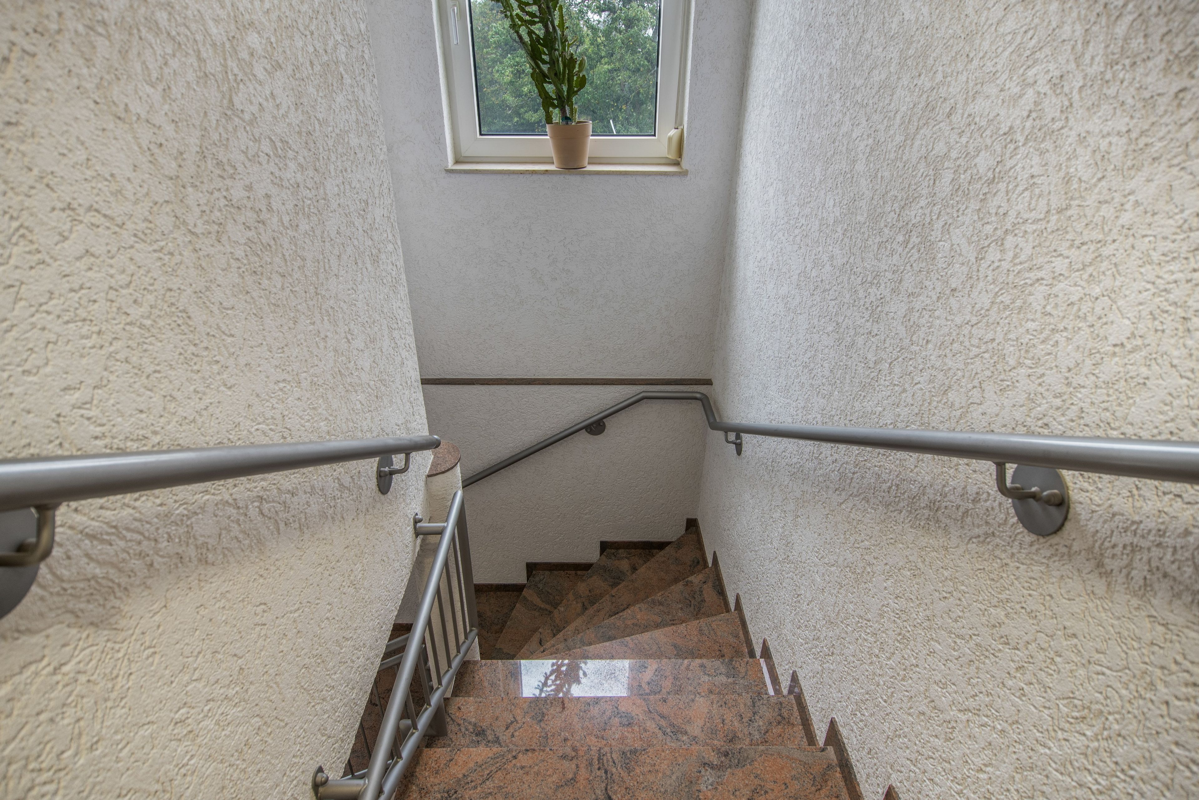 A staircase with a handrail, a window with a plant, and a textured wall.