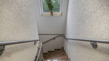 A staircase with a handrail, a window with a plant, and a textured wall.