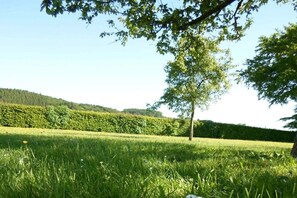 Ein grasbewachsenes Feld mit einem Baum und einer Hecke im Hintergrund.