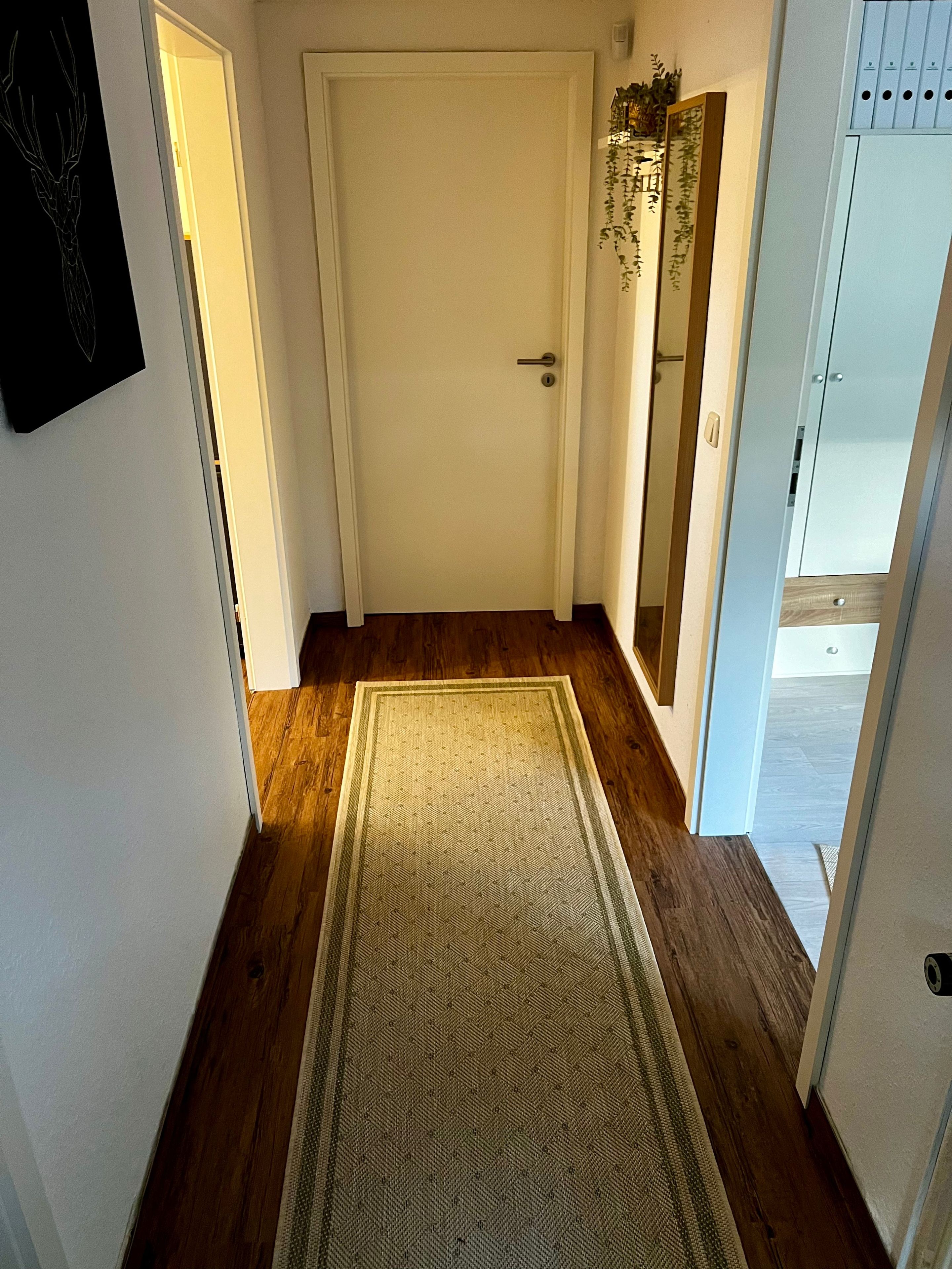 A hallway with a wooden floor, a white door, and a light-colored rug.