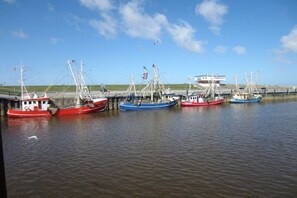 Ein Hafen mit mehreren dort vertäuten Fischerbooten.