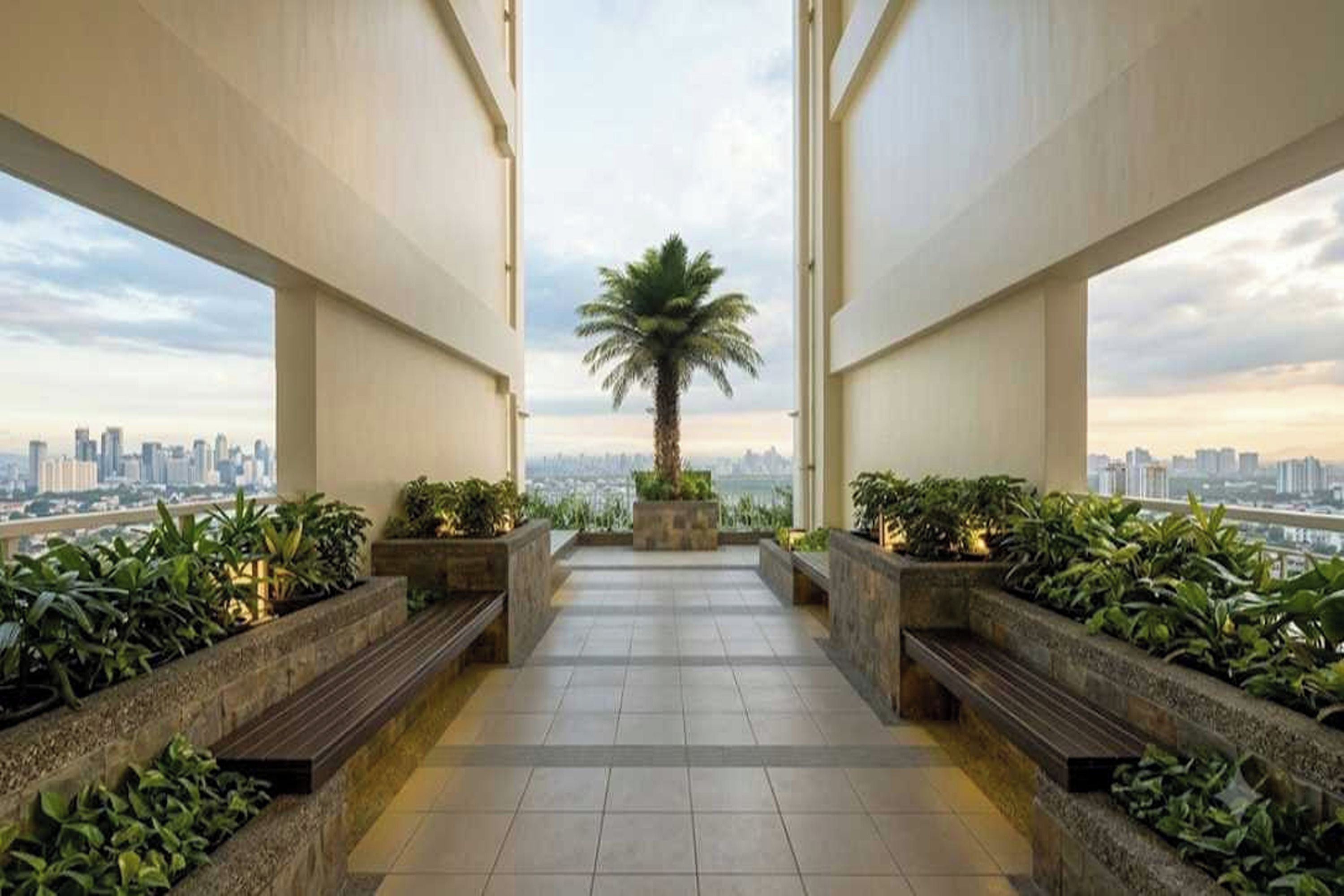A corridor with a palm tree and plants, leading to a city view.