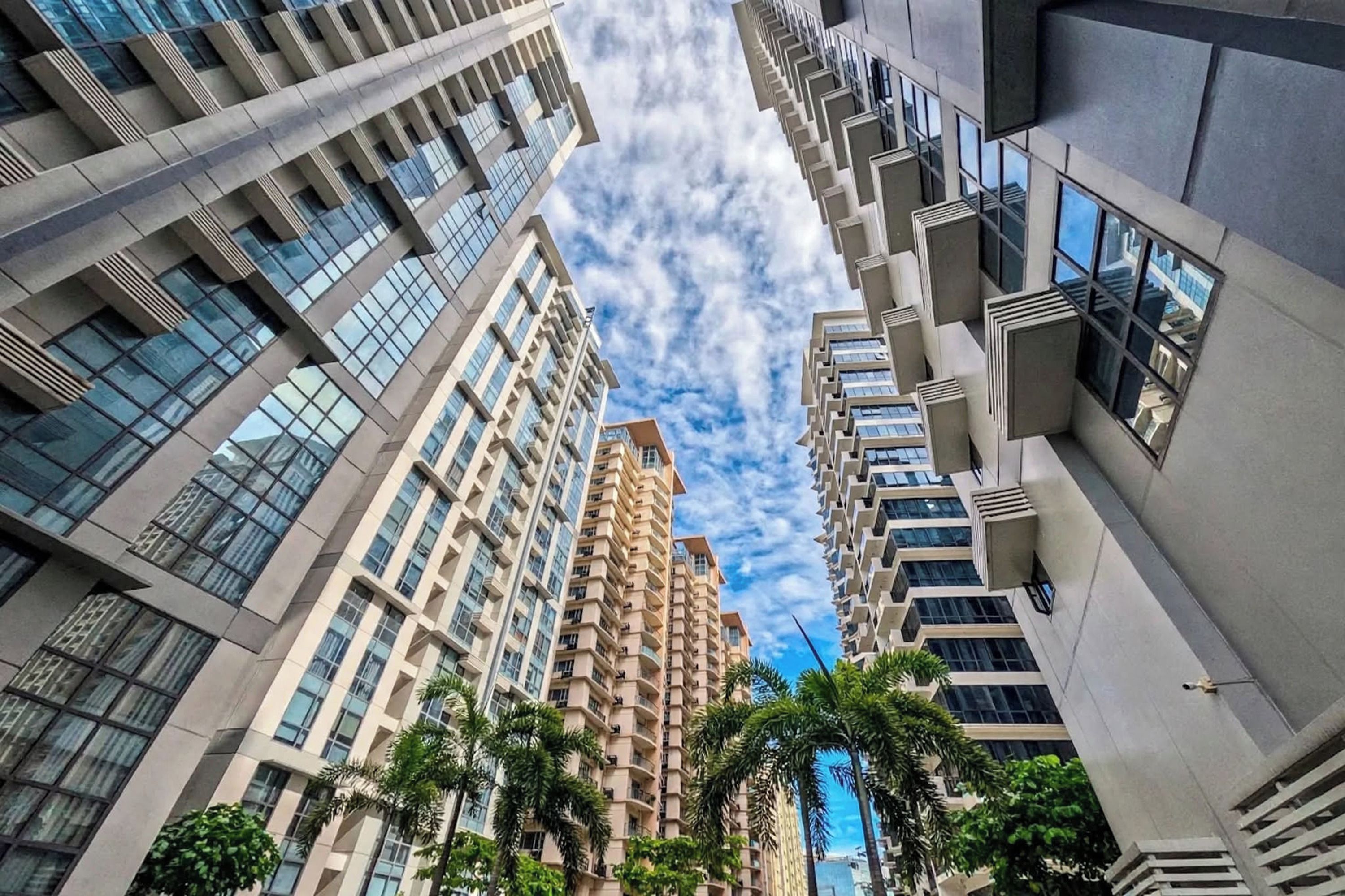 Un immeuble de grande hauteur doté de nombreux balcons et de grandes fenêtres, entouré de palmiers.