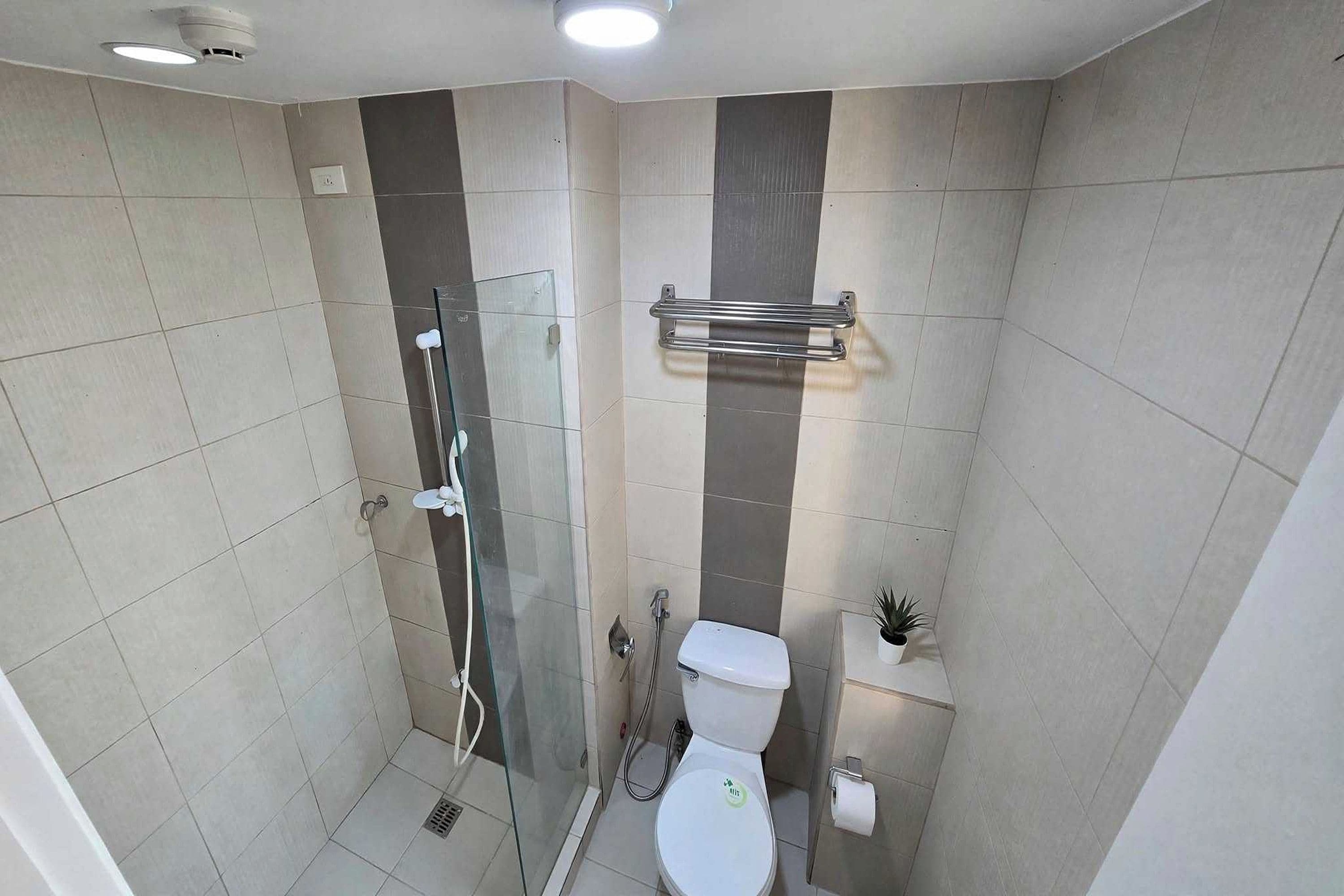 A modern bathroom with a glass shower enclosure, a toilet, and a small potted plant.