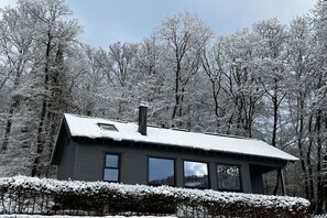 Ein zweistöckiges Haus mit geneigtem Dach, umgeben von schneebedeckten Bäumen und einem Heckenstreifen.