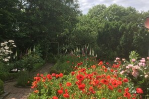 Ein Garten mit verschiedenen Pflanzen und Blumen, darunter rote Mohnblumen und viel Grün.