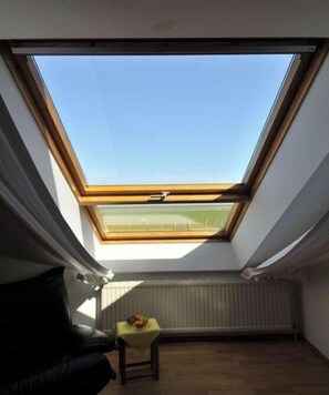 Ein Zimmer mit Dachfenster, Heizkörper, einem kleinen Tisch mit Obstschale und einem schwarzen Ledersessel.