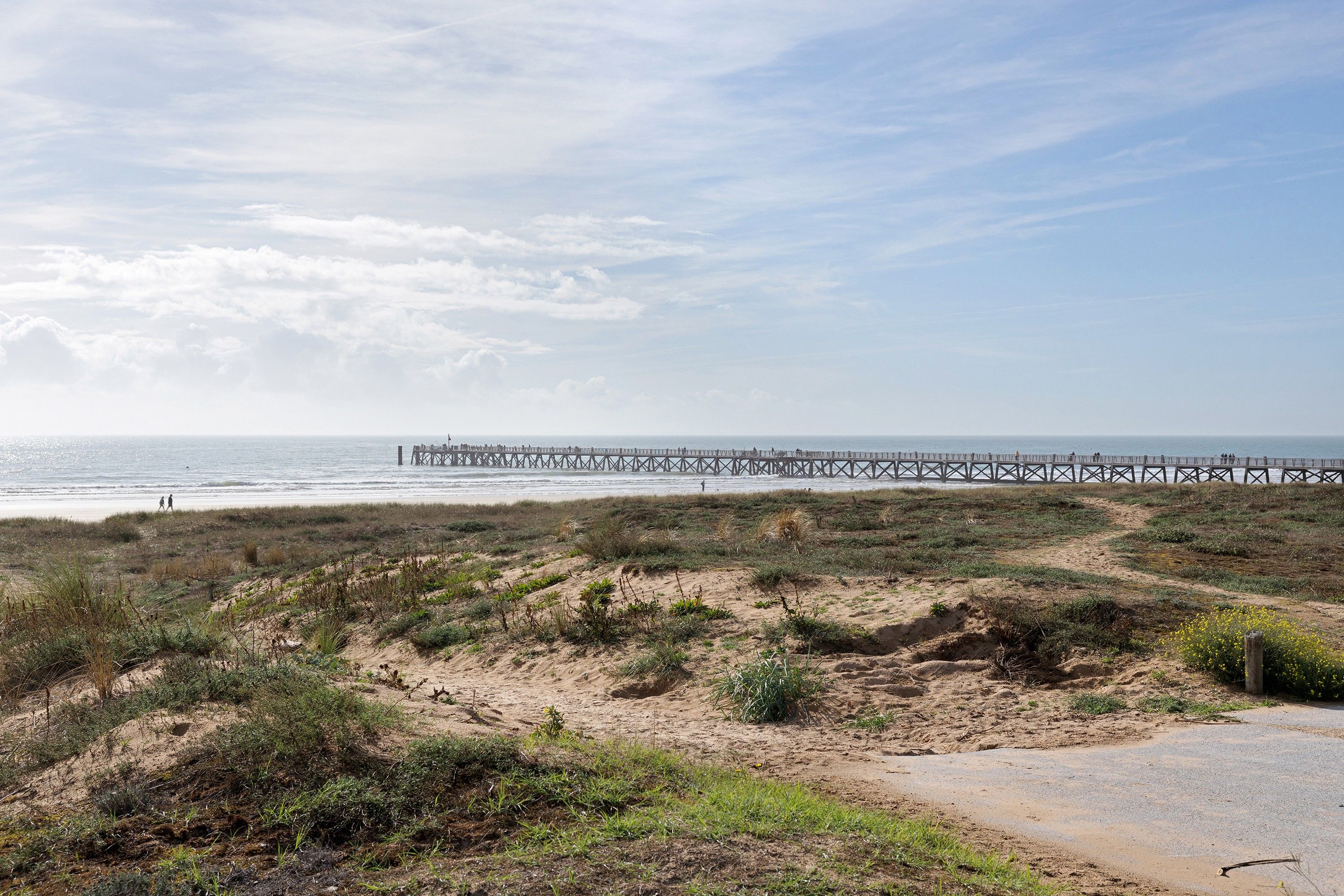 Strand