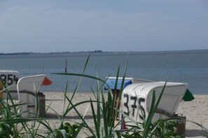 Strandstoelen met nummers, een heldere lucht en een rustige zee.