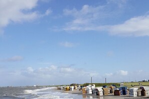 Una zona costera con cabañas de playa numeradas a lo largo de la orilla.