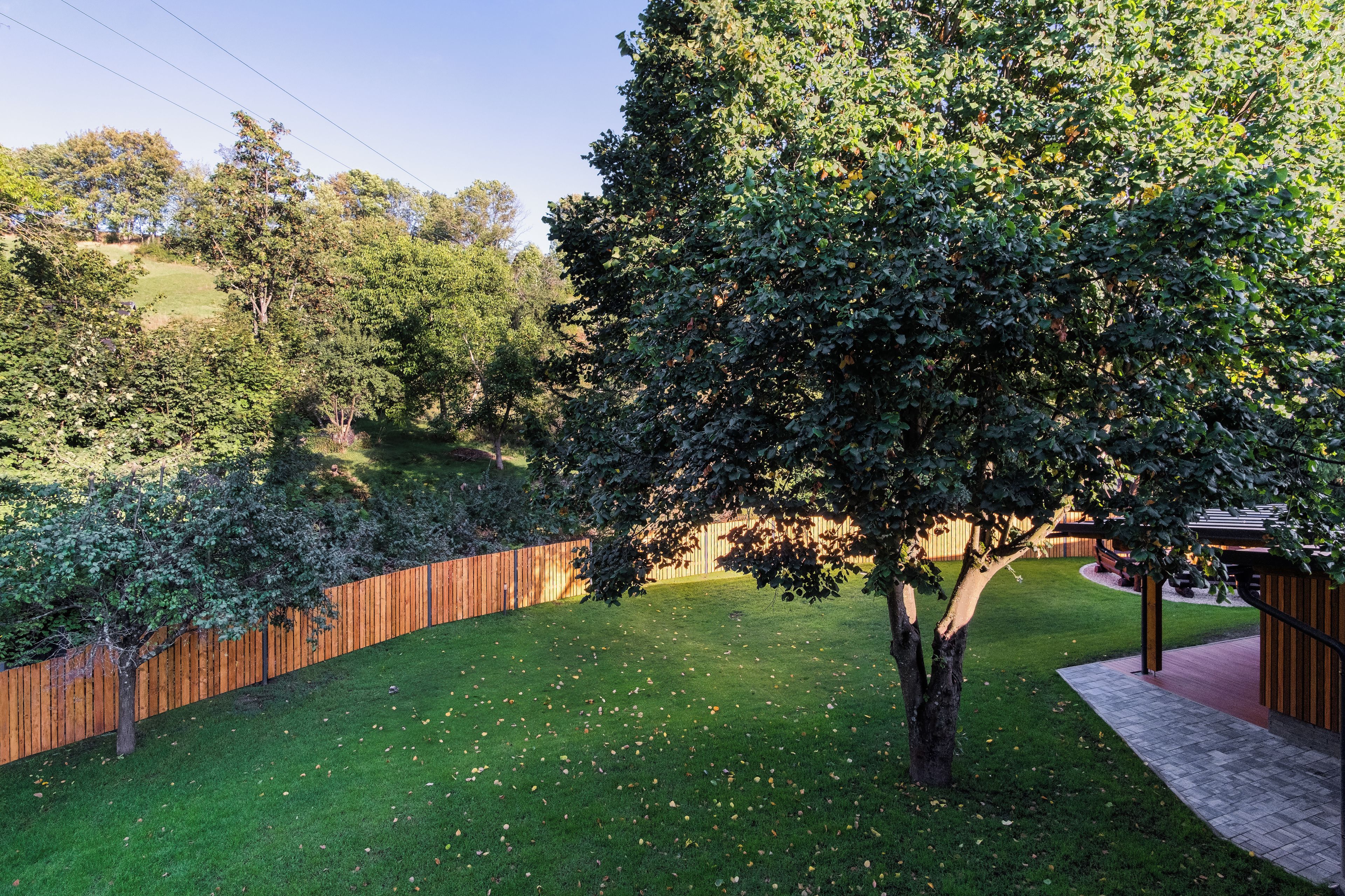 A well-maintained backyard with a wooden fence, a grassy lawn, and a variety of trees.