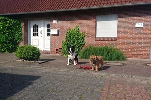 Edifício de tijolos com uma porta branca, uma pequena árvore e dois cães na coleira.