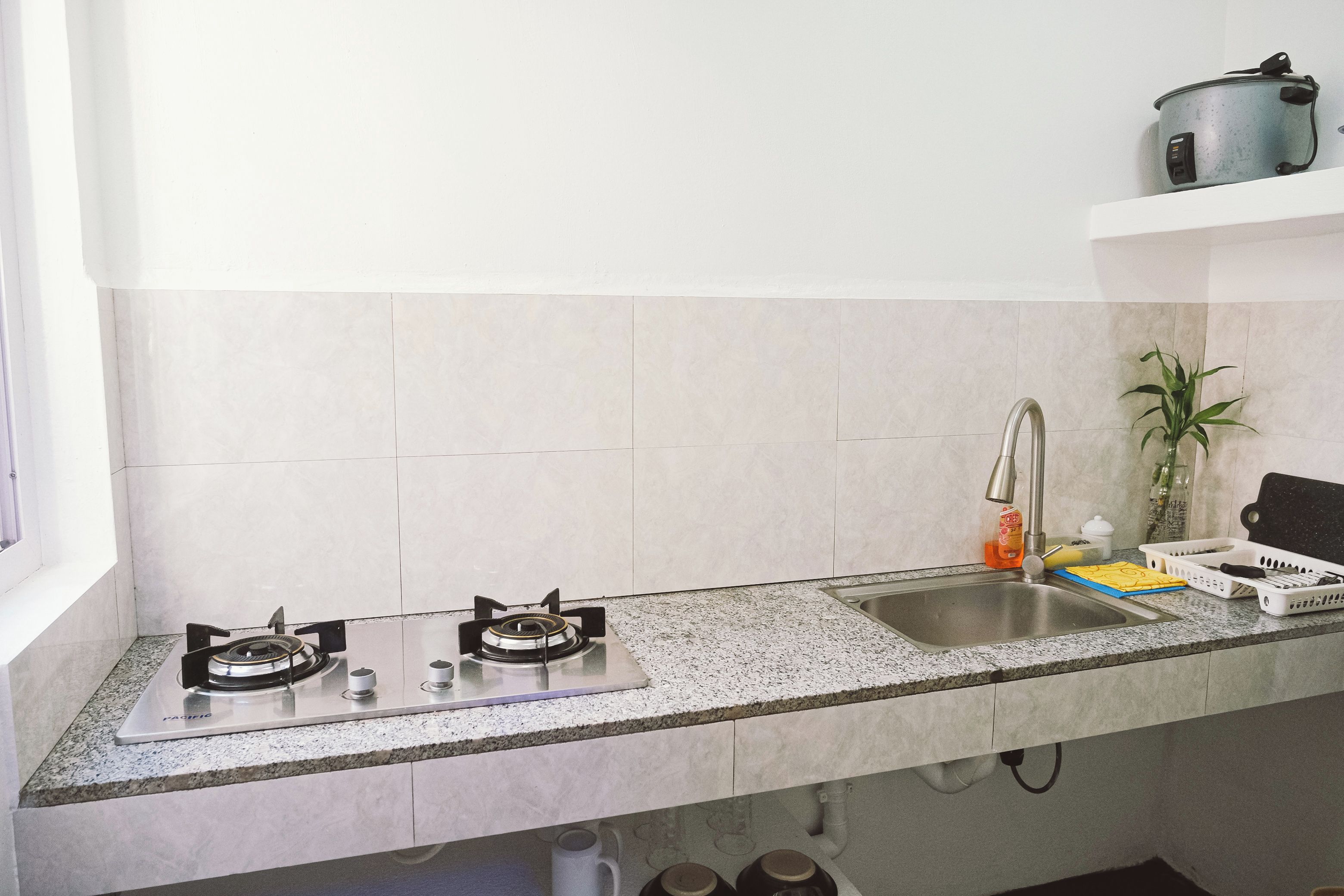 Una cucina con un lavello doppio, due fornelli a gas, un rubinetto in acciaio inossidabile e una pianta in vaso sul piano di lavoro.