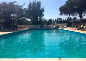 Ein rechteckiger Swimmingpool mit klarem, blauem Wasser, umgeben von Bäumen und einer weißen Mauer.