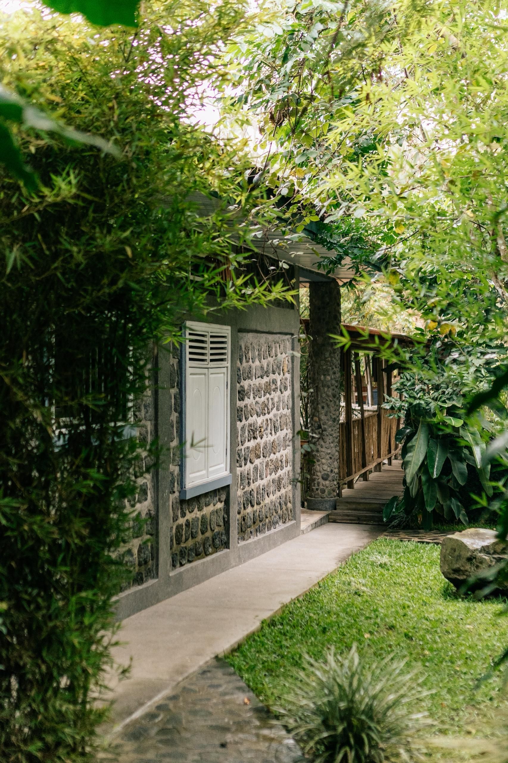 A stone building with a window and a door, surrounded by lush greenery.