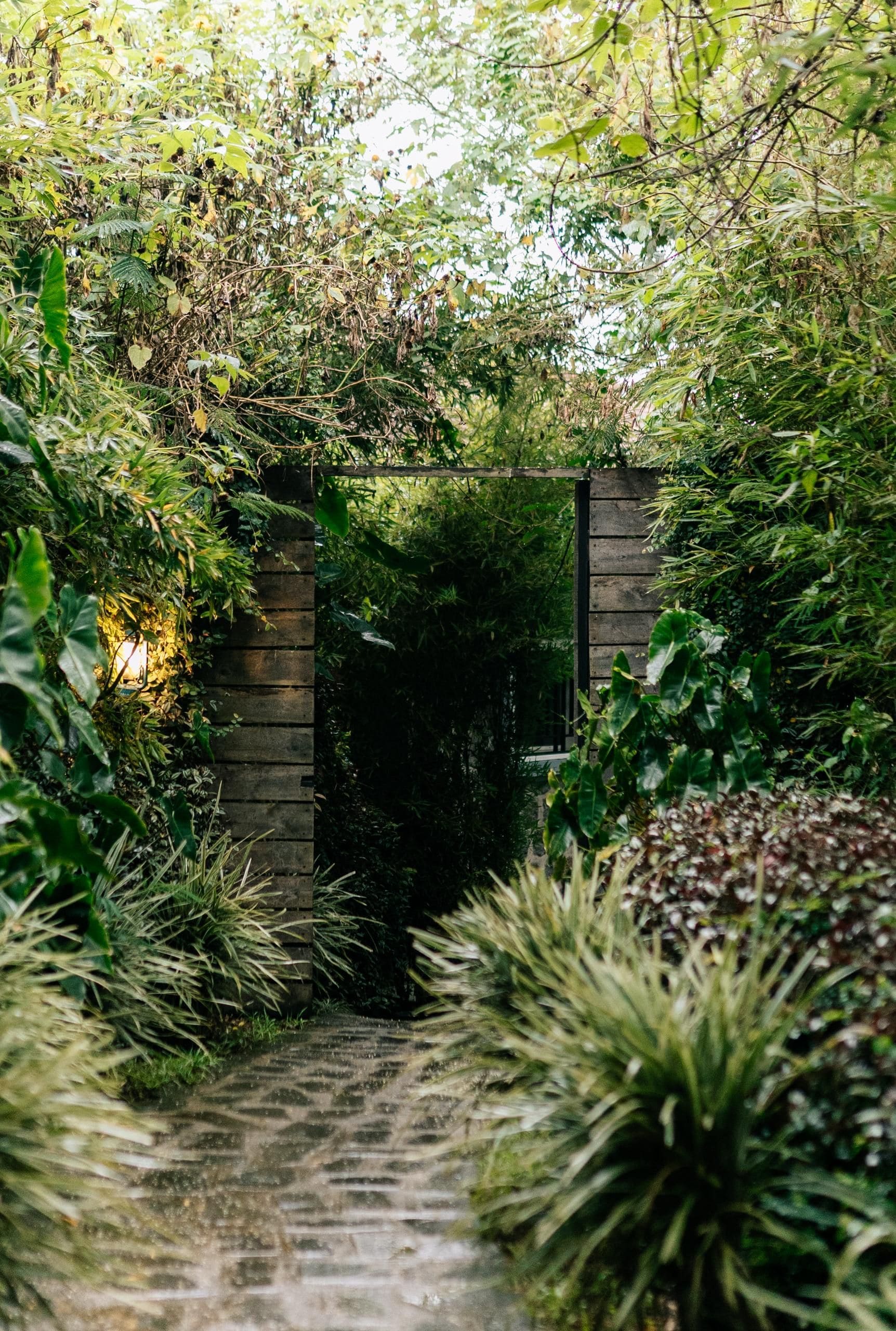 Un sendero estrecho que atraviesa un exuberante jardín con una puerta de madera.