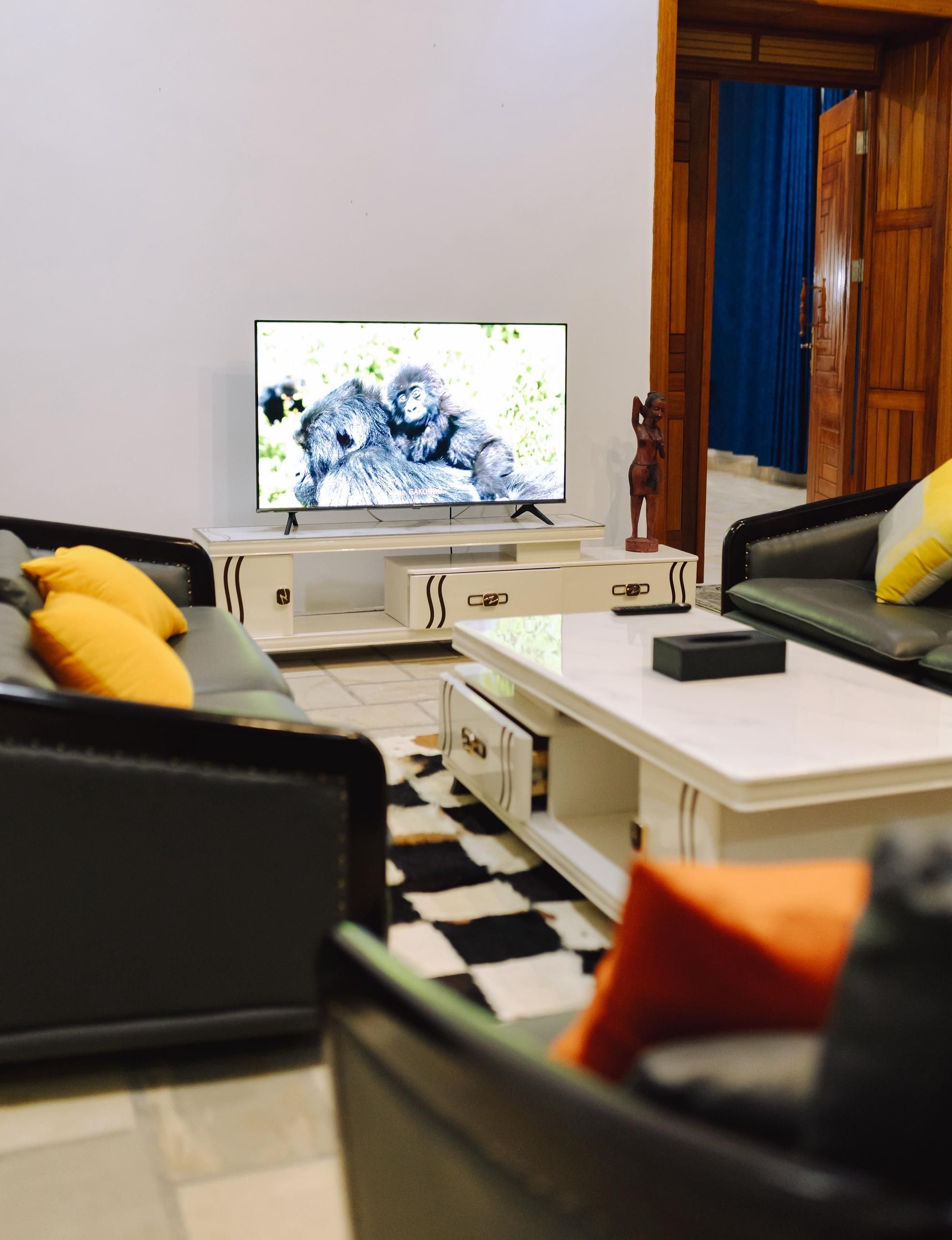 A living room with a television, sofa, and a small statue.