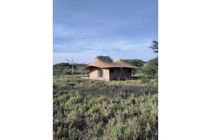 Unclassified image, 2 of 60, button - Serengeti Acacia Bliss Luxury  Camp (Serengeti)