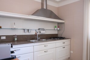 Une cuisine compacte équipée d’une cuisinière à gaz, d’un évier et d’une hotte aspirante en acier inoxydable.