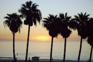 Une scène de plage avec des palmiers et un coucher de soleil.