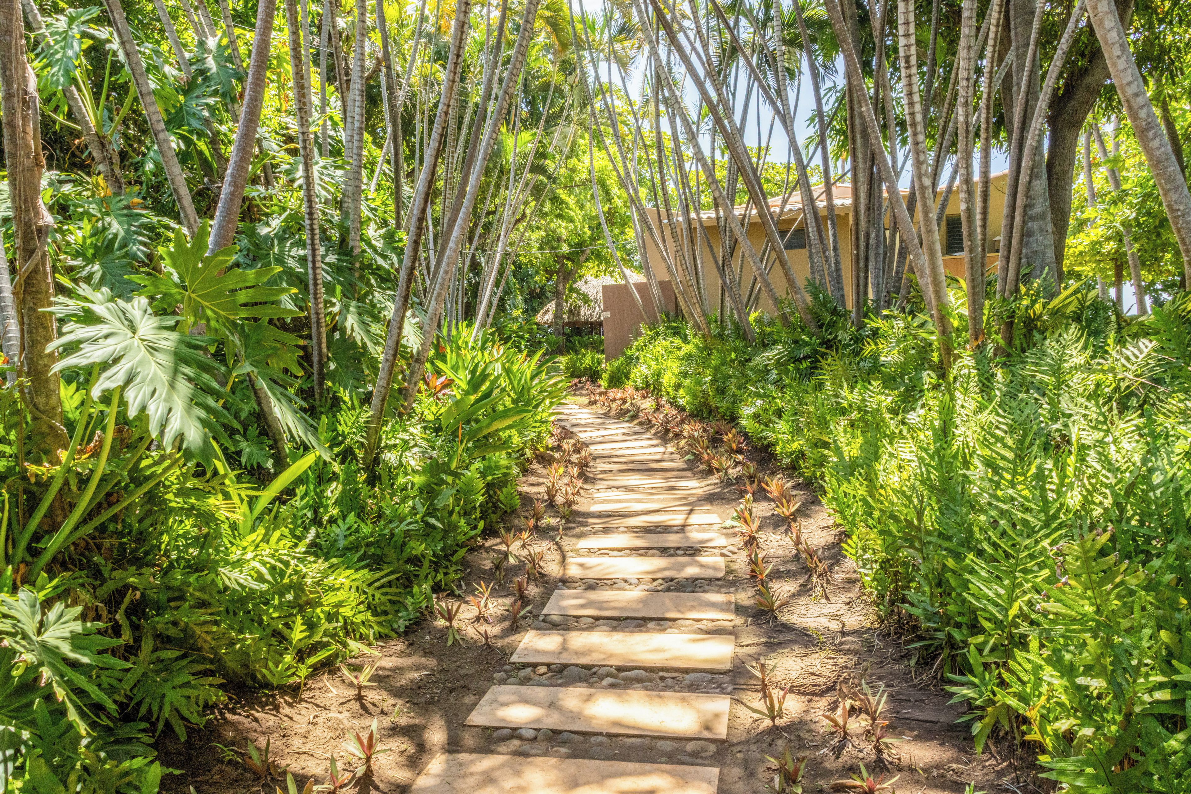 A stone pathway leading through a lush garden with tall palm trees and various tropical plants.