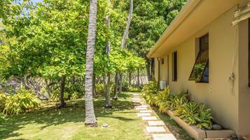 Un sendero conduce a un edificio rodeado de exuberante vegetación y palmeras.
