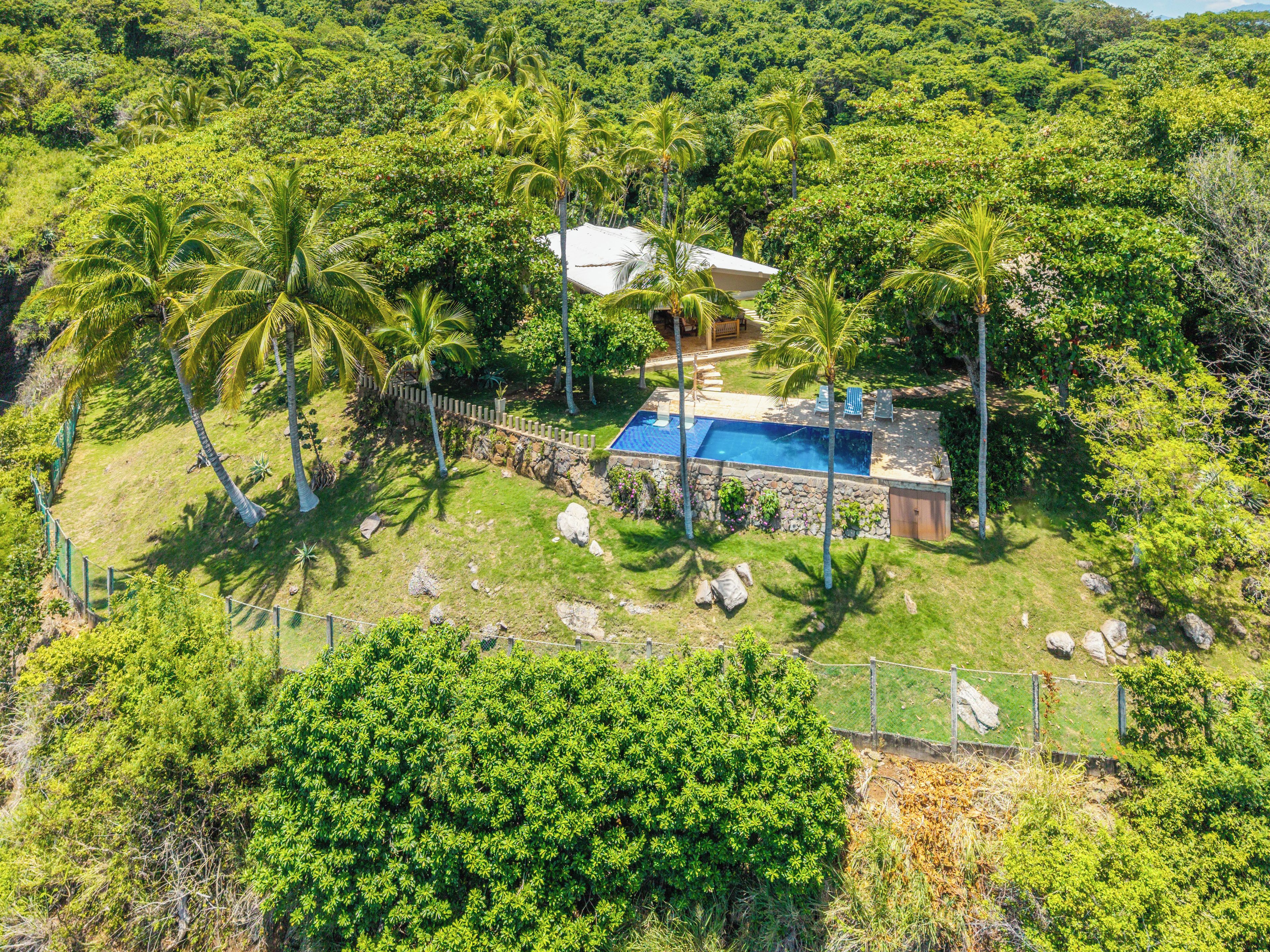 Propiedad residencial con piscina, rodeada de exuberante vegetación y palmeras.