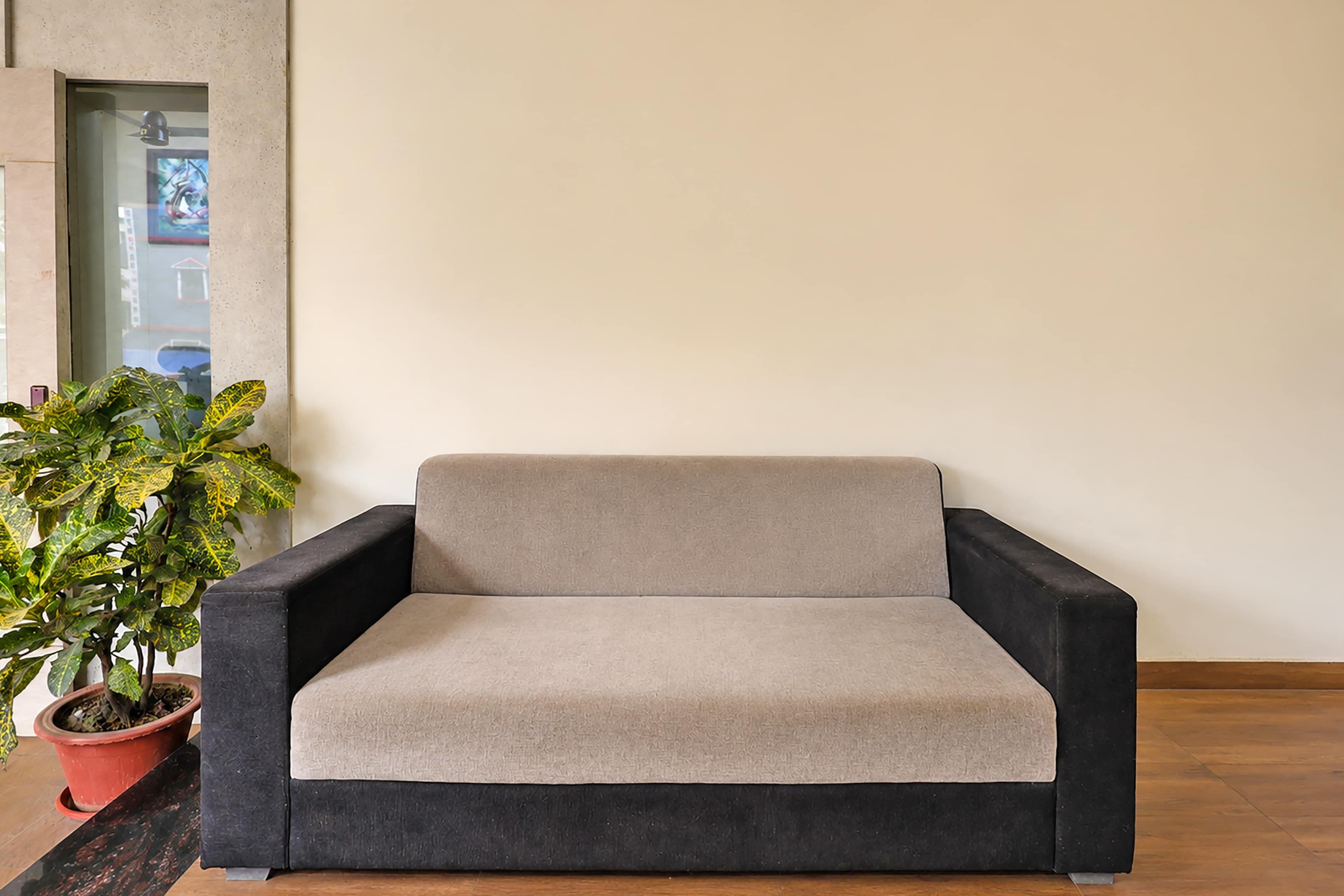 Un sillón moderno con asiento y respaldo acolchados, colocado junto a una maceta con hojas variegadas.