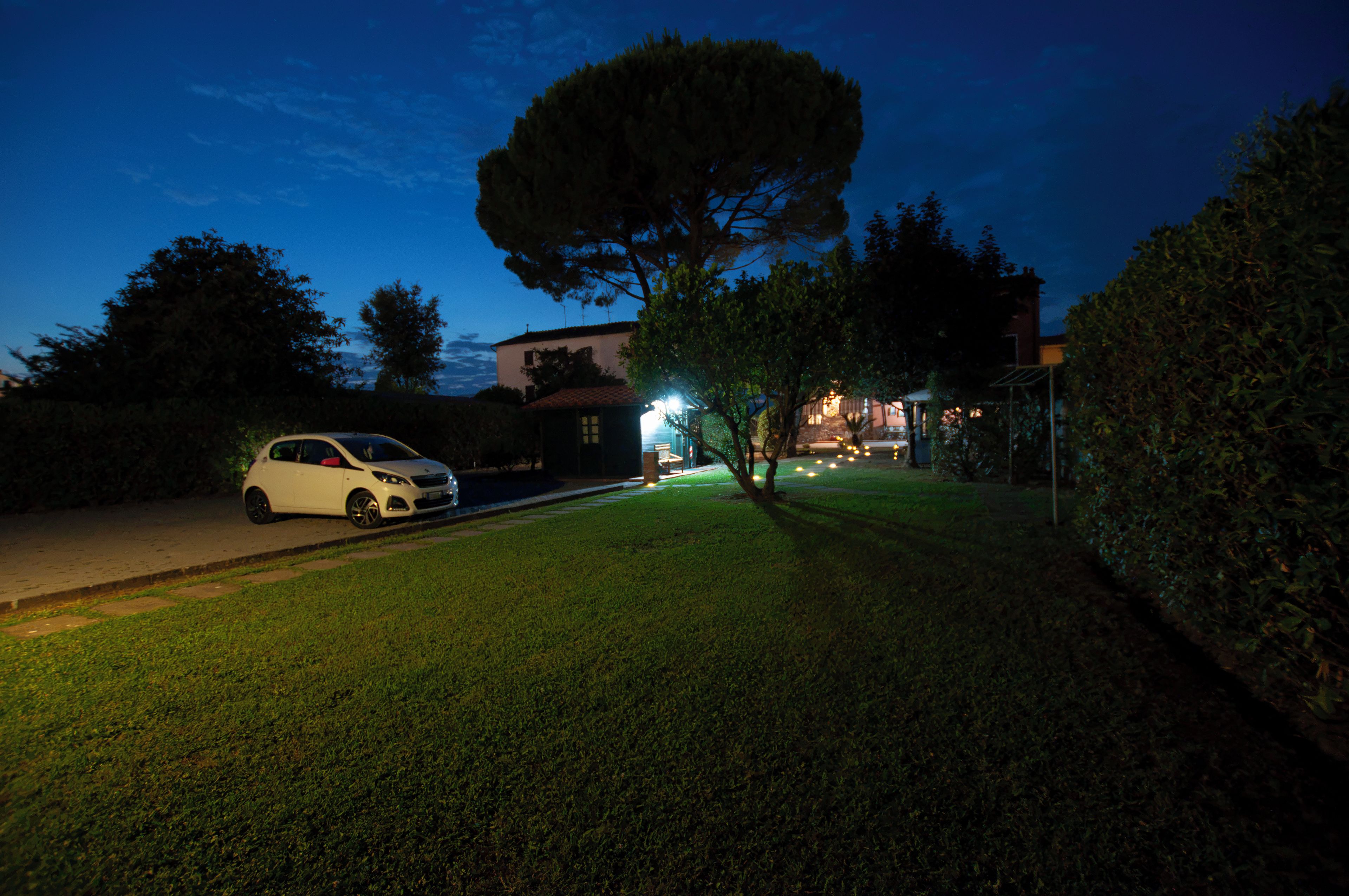 A residential area with a white car parked on the street, a large tree, and a building with lights on in the background.
