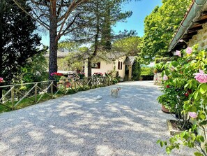 A gravel driveway leading to a stone building with a tiled roof, surrounded by greenery and flowering plants. - Cottage surrounded by a romantic garden (Gubbio)