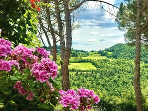 A landscape with trees and a view of a green valley. - Cottage surrounded by a romantic garden (Gubbio)