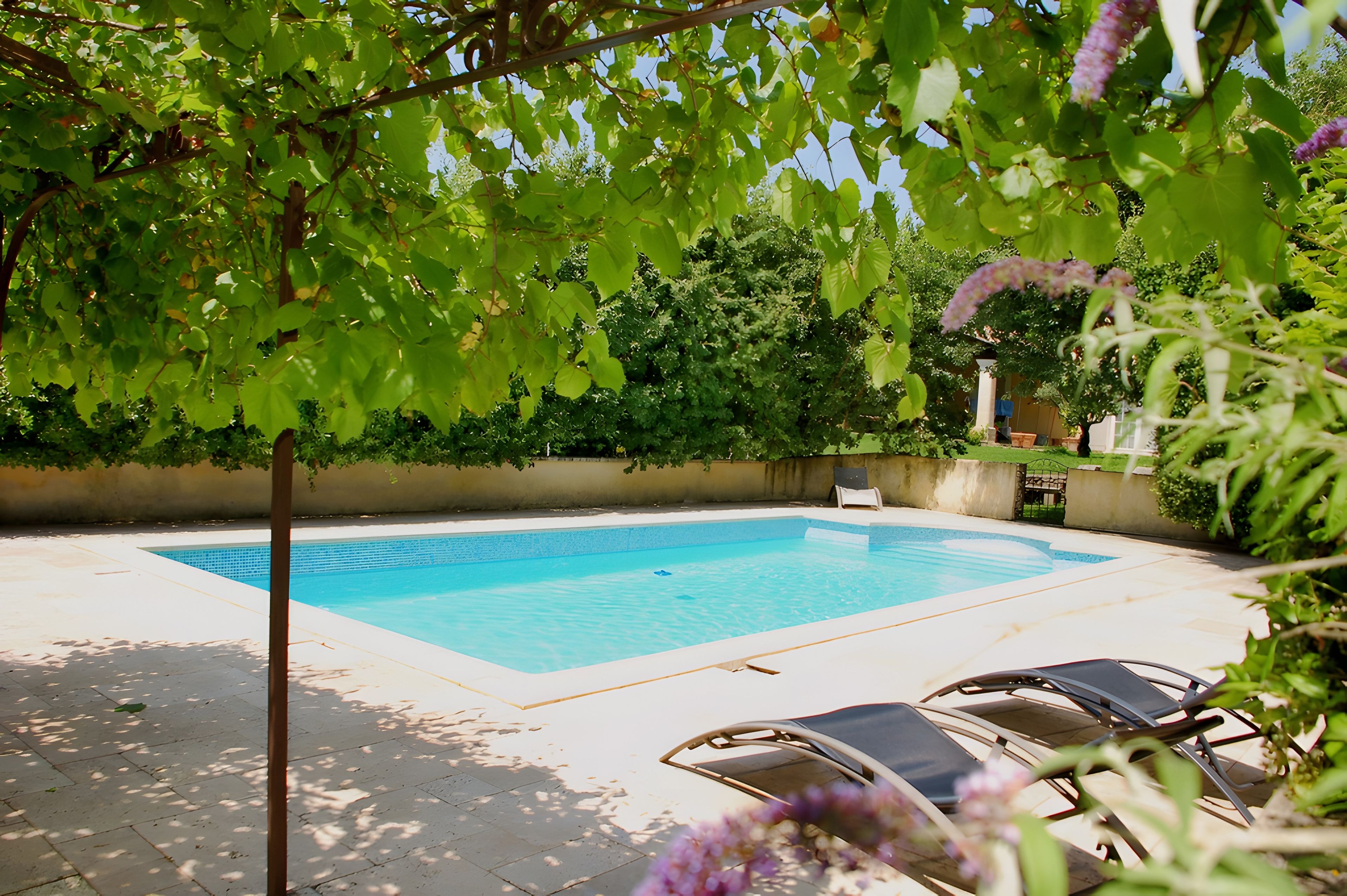 A swimming pool with clear blue water, surrounded by a paved deck and shaded by trees.