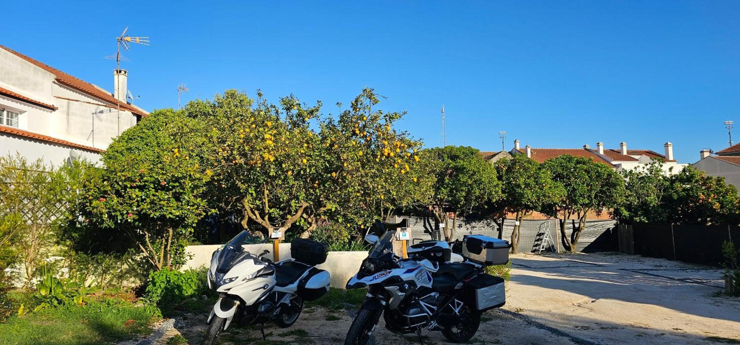 Ein Wohngebiet mit zwei parkenden Motorrädern, einem Baum mit gelben Früchten und Häusern mit roten Ziegeldächern.