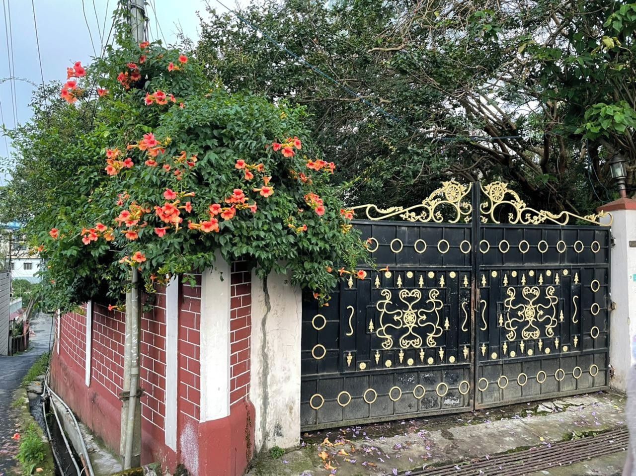 A gated entrance with a decorative iron gate and a brick wall.