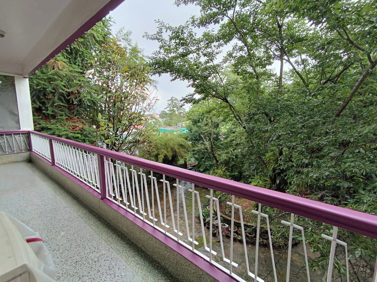 A balcony with a purple railing overlooking a garden with various plants and trees.