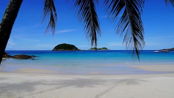 A beach with clear blue water, sandy shore, and palm trees.