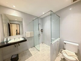 Un baño moderno con ducha envuelta en vidrio, un lavamanos con espejo y un inodoro.