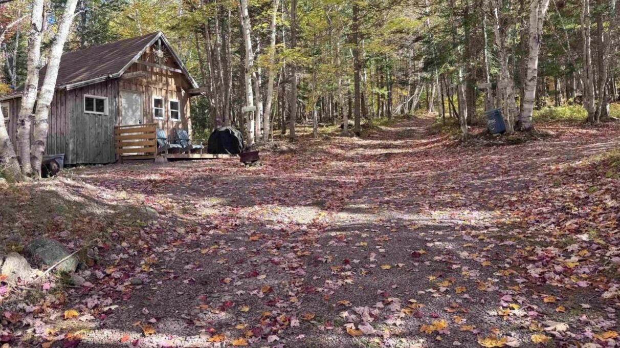 A rustic cabin with a wooden deck, surrounded by a forest with fallen leaves.