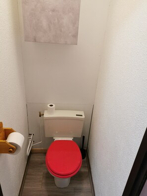 A small bathroom with a toilet, a roll of toilet paper, and a wooden box. - Cozy Studio in Morillon (Morillon)